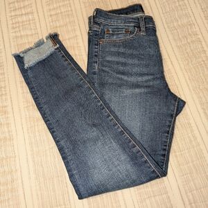 Banana Republic Blue Ankle Cropped Jeans